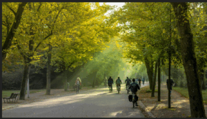 Lees meer over het artikel Cognitieve kleurenblindheid…