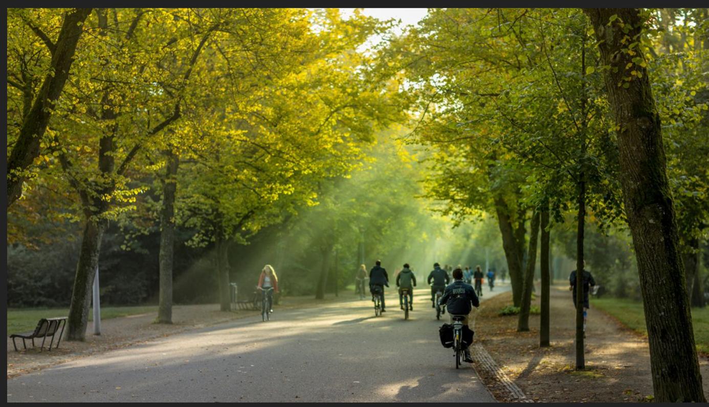 Lees meer over het artikel Cognitieve kleurenblindheid…